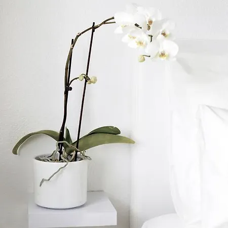 Apartamento Orange 3 House Loulé